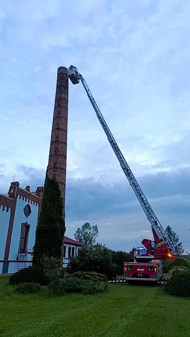 Bocian wpadł do 24-metrowego komina. Strażacy ratowali go 3 godziny [ZDJĘCIA]. 