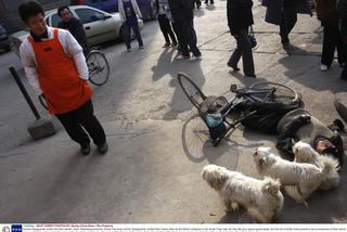 Psiaki pilnowały pijaczka 