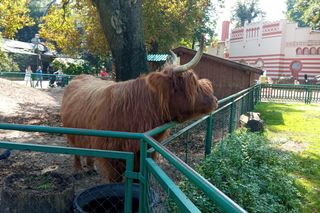 Jaka przyszłość czeka Stare ZOO? Są pierwsze plany