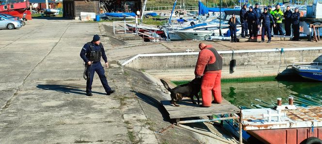 ćwiczenia nad Zalewem Sulejowskim