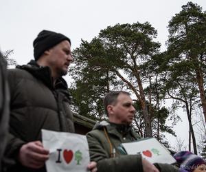 Protest na Barbarce w Toruniu. Społecznicy nie chcą wycinki starych sosen