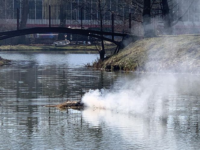 Lublinianie pożegnali zimę i powitali wiosnę! W Ogrodzie Botanicznym odbyło się topienie Śmiercichy