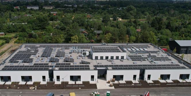 dps ostrow