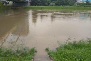 Powódź w Rzeszowie: Czy Wisłok może wylać? Próg ostrzegawczy już przekroczony [ZDJĘCIA]