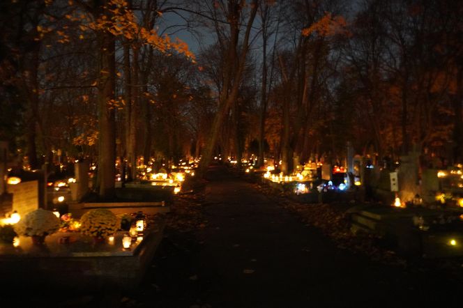 Stare Powązki rozświetlone zniczami 2.11.2024