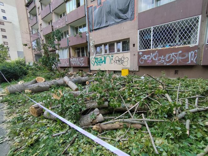 Wielkie drzewo runęło im na blok. „Widziałam, jak na mnie leci!”