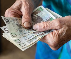 ZUS przelewa 348 zł po 75. roku życia. Seniorzy nawet nie muszą kiwnąć palcem. Kiedy przyjdzie przelew?