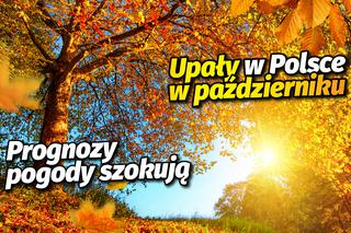 SZOK! Aż 27 stopni Celsjusza w Polsce! Prognoza zaskoczy nawet marzycieli. Gdzie będzie najcieplej?