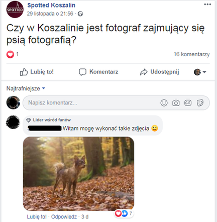 Fotograf dla psa