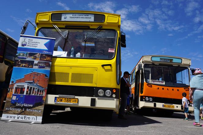 Zlot zabytkowych autobusów 2022 w Bydgoszczy [ZDJĘCIA] 