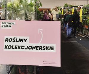 W Radomiu trwa festiwal roślin. Impreza w hali przy ul. Narutowicza potrwa do jutra