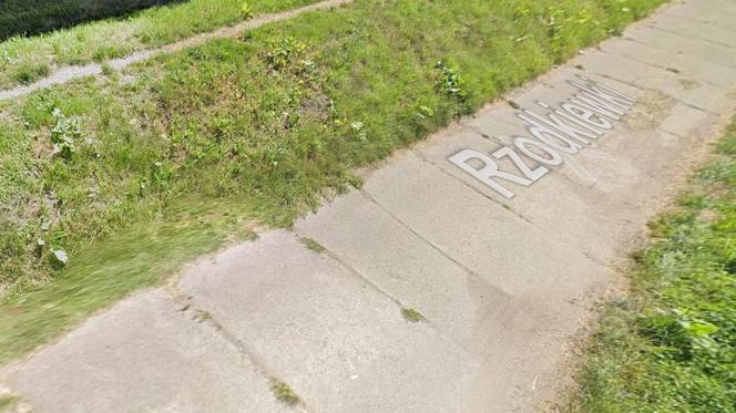 Oto "najsmaczniejsze" ulice w Warszawie