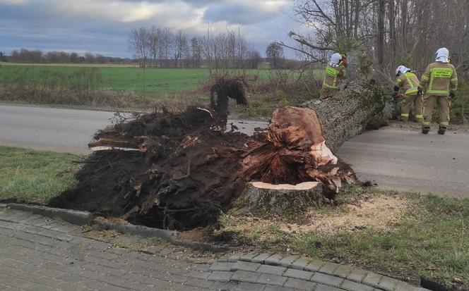 Nadciąga kolejna wichura. Możliwe OSTRZEŻENIE DRUGIEGO STOPNIA dla Warmii i Mazur