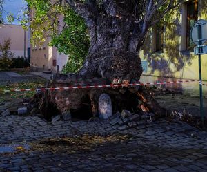 Polska pod naporem wichur! Strażacy nie mieli chwili wytchnienia