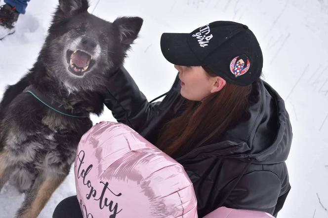 Walentynkowa akcja Torcida Girls. Dziewczyny wspierają bezdomne zwierzęta ze schroniska [ZDJĘCIA]