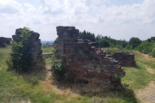 Ruiny średniowiecznego zamku w Tarnowie, na którym w 1528 roku rezydował król Węgier Jan Zápolya 