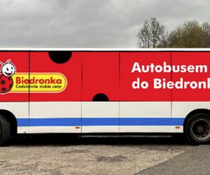 Biedronka na fali
