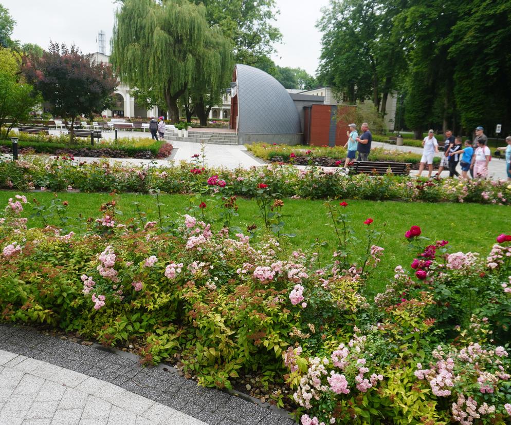 Świętokrzyskie miasto walczy o tytuł najpiękniejszego uzdrowiska. Głosowanie trwa 