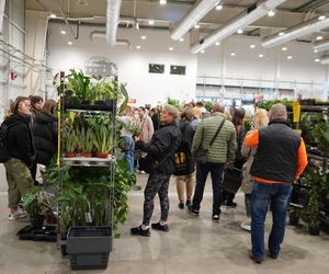 Największy targ roślin doniczkowych ponownie w Lublinie