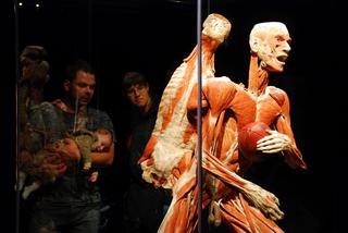 Body Worlds: Wystawa, której nigdy nie zapomnisz