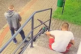 Na Żoliborzu ukradli rower synowi Zamachowskiej