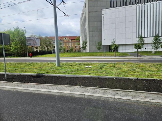 Jedna z najważniejszych inwestycji Torunia na finiszu. Zobaczcie zdjęcia z projektu BiT-City II