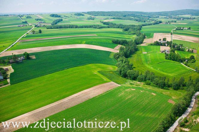 To najbiedniejsza wieś w województwie świętokrzyskim. Słynie z corocznego Święta Chleba