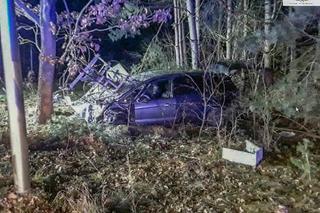 Makabra pod Skierniewicami. Roztrzaskał się fordem o transformator, poraził go prąd