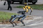 Robopies odwiedził i ćwiczył z warszawskimi policjantami