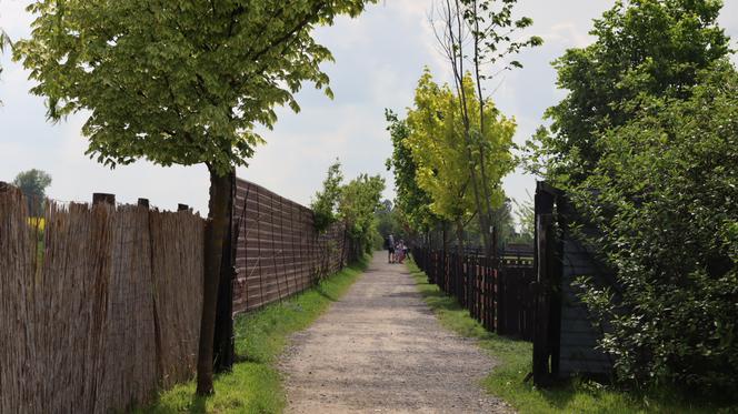 Pomysł na wycieczkę niedaleko Lublina? Zoo w Wojciechowie to idealny kierunek!