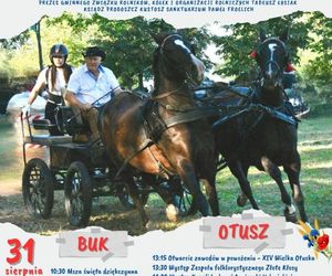 Dożynki w powiecie poznańskim 2025