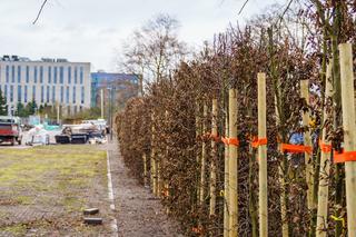 Fabryka Wody w Szczecinie