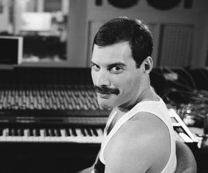 Freddie Mercury w programie “Twoja Twarz Brzmi Znajomo”! Piotr Stramowski wcielił się w legendarnego wokalistę