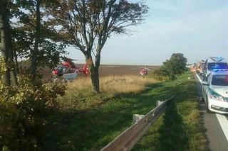 Wracali do Polski, z ich auta została miazga. Z całej rodziny przeżyło tylko niemowlę 