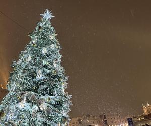 Choinka rozbłysła na Rynku Głównym. Tak wygląda Kraków w zimowej scenerii! 