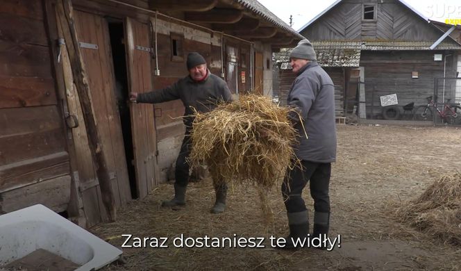 Rolnicy. Podlasie. Gienek i Sławek karmią zwierzęta. " A nie przestraszą się ciebie krowy?"