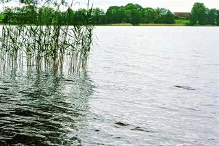 Fala powodziowa dotarła na Pomorze Zachodnie. Tutaj Odra zbliża się do stanu alarmowego