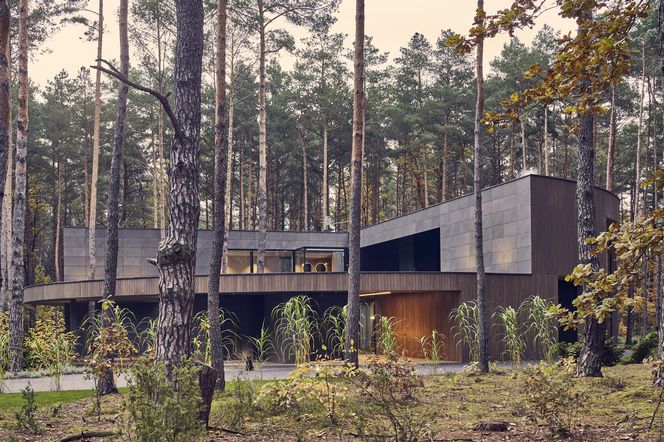 Circle Wood House wg projektu Przemka Olczyka z pracowni Mobius Architekci