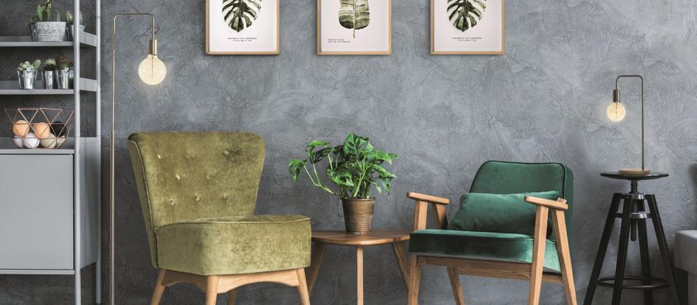Monstera we wnętrzach