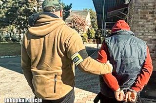 Policja rozbiła szajkę złodziei! Wśród łupów zabytkowe BMW