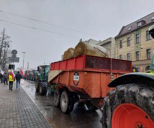 Dźwięk kilkuset klaksonów niesie się po Bydgoszczy. Rolnicy: Bez nas będziecie głodni, nadzy i trzeźwi