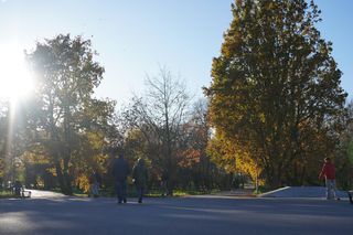 Park Ludowy w listopadowej odsłonie! Zdjęcia