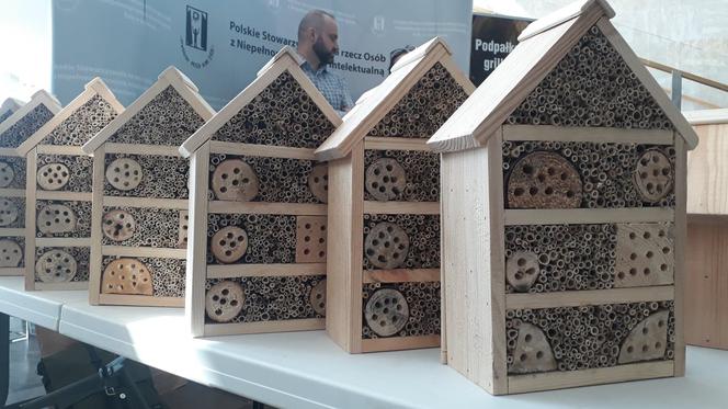 Porozmawiajmy o niepełnosprawnych! Regionalna konferencja z okazji 100-lecia Publicznych Służb Zatrudnienia