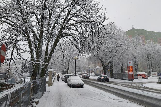 Nagły atak zimy w Siedlcach: jaka jest sytuacja drogowa w mieście? [WIDEO, FOTO]