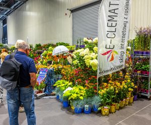 Targi Zieleń to życie 2025 - rośliny doniczkowe
