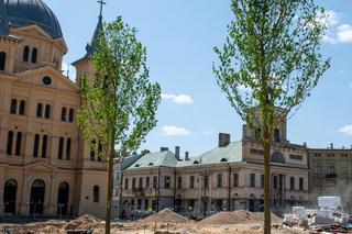 Plac Wolności w Łodzi się zazielenia