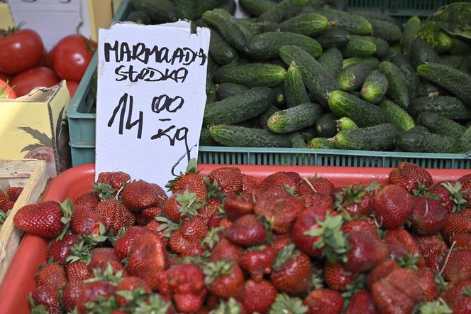  Ceny nowalijek na warszawskich bazarach szokują. Byliśmy i sprawdziliśmy ile trzeba zapłacić
