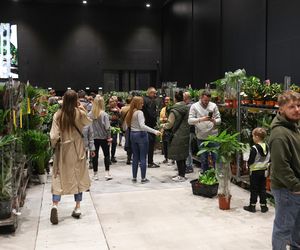 Festiwal Roślin w Katowicach przyciągnął tłumy miłośników zieleni. MCK przepełnione roślinnością