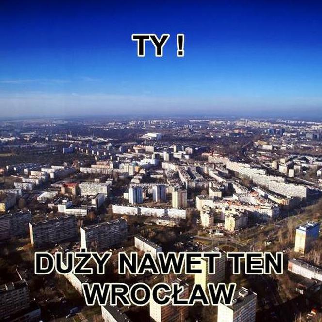 Typowy Wrocławianin
