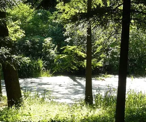 Zmiany organizacji ruchu na Golęcinie. Wszystko przez Park Iluminacji